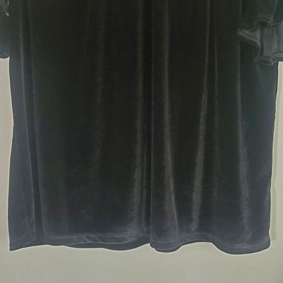 Pleione Top Large Black Velvet Sheer Floral Embroidered Fairy Whimsygoth Gothic - Picture 3 of 13